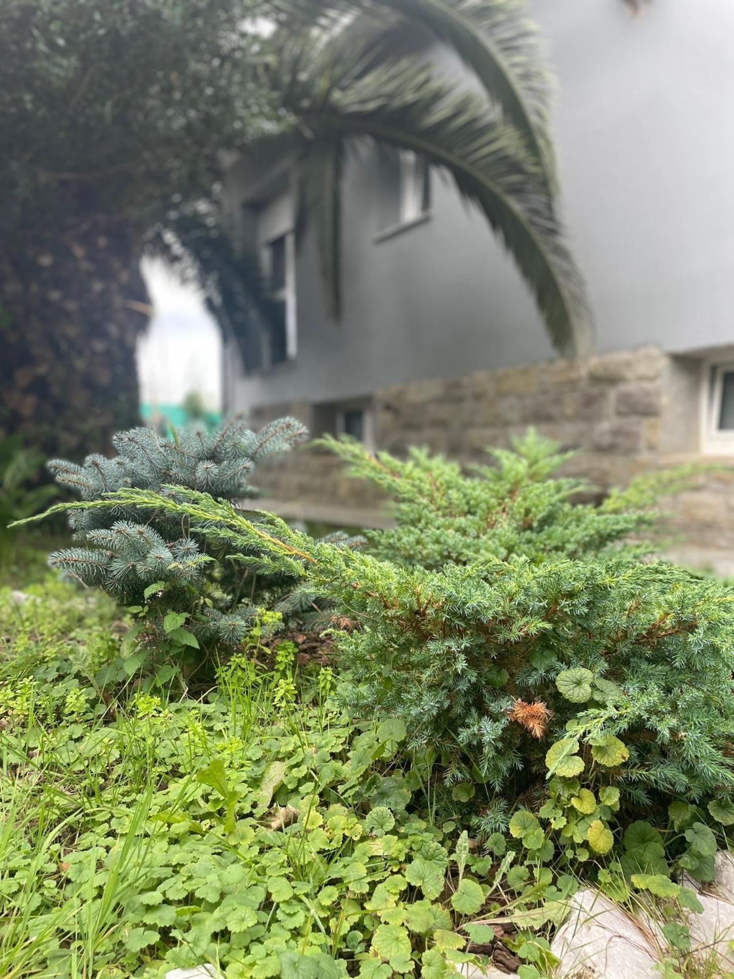 Kasaboba Villa Parres de Llanes Bagian luar foto